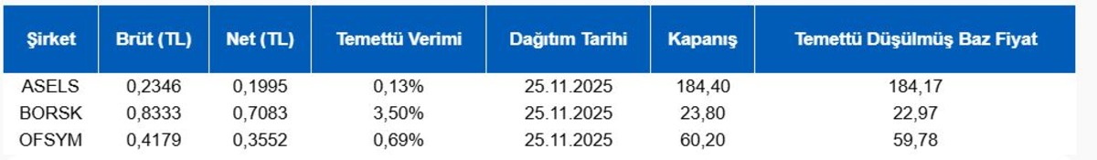 Borsa İstanbul pay alım-satım haberleri (25 kasım 2025), Görsel 1