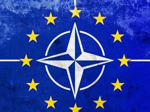 NATO ve Ukrayna'dan ortak girişim 