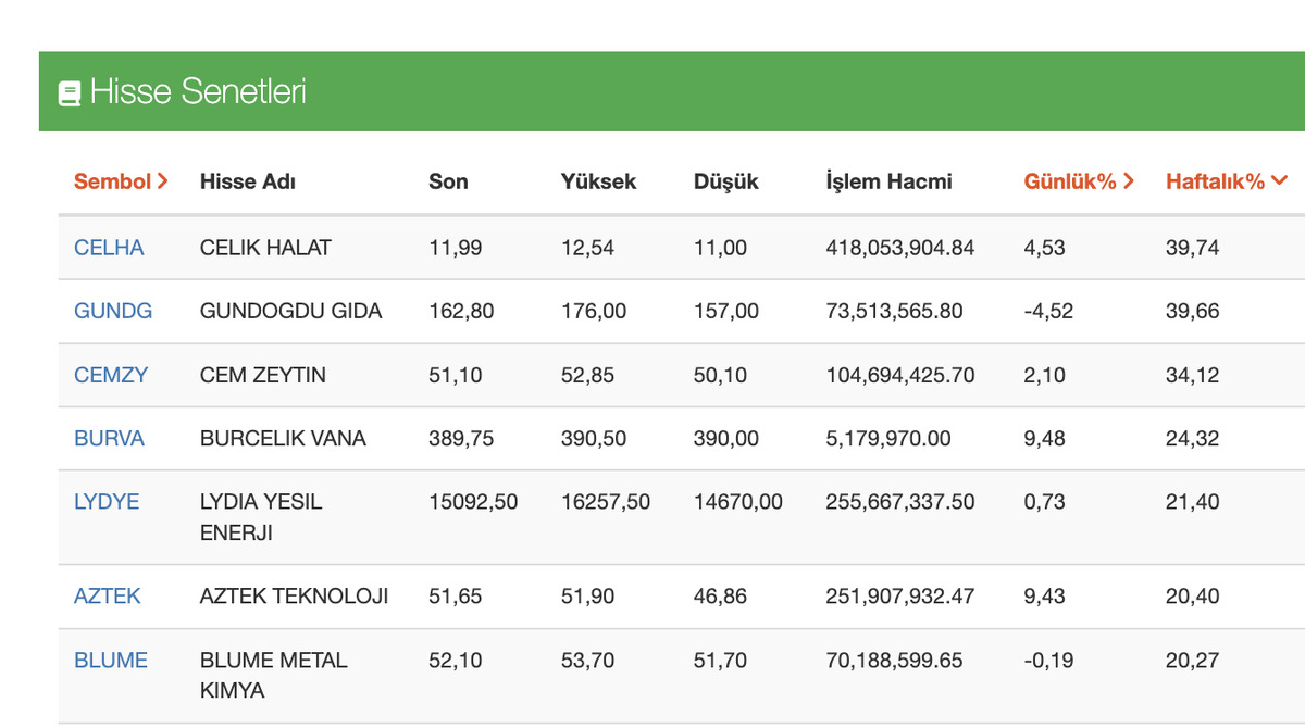CELHA, GUNDG, CEMZY, BURVA... Borsada şov yaptılar: 1 haftada y&uuml;zde 40 getiri, G&ouml;rsel 1