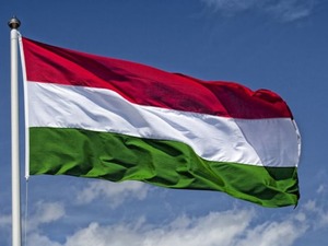 Macaristan, AB'nin, Rusya'dan gaz alımını bitirme kararını onaylaması durumunda mahkemeye gidecek