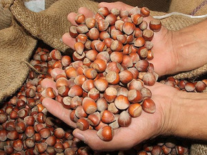 Ticaret borsalarında en &ccedil;ok o işlem g&ouml;rd&uuml;! 138 bin tonu aştı