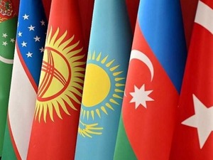 T&uuml;rk Yatırım Fonu faaliyetlere başladı