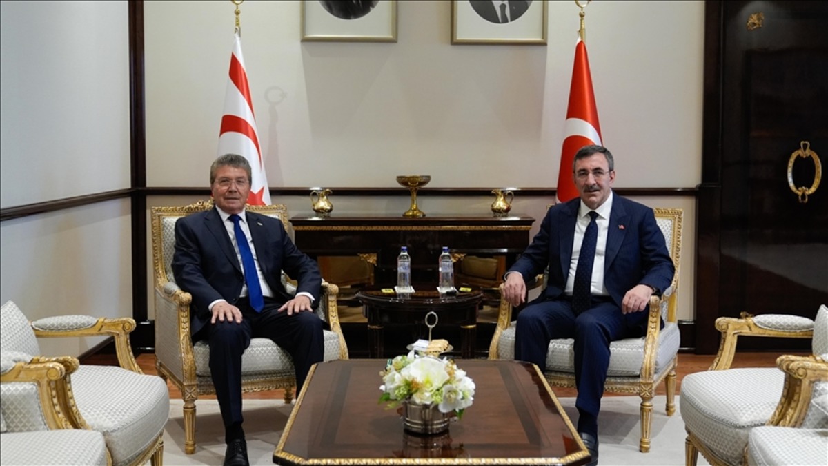 Cumhurbaşkanı Yardımcısı Yılmaz, KKTC Başbakanı &Uuml;stel ile g&ouml;r&uuml;şt&uuml;, G&ouml;rsel 1