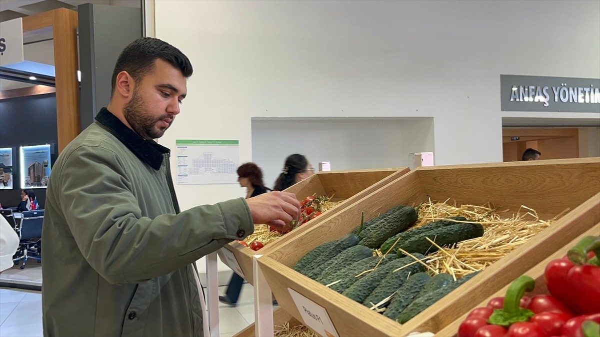 "Artık o ithalat iyice azaldı" Bir&ccedil;ok &uuml;lkeye ihracatı yapılıyor, G&ouml;rsel 4
