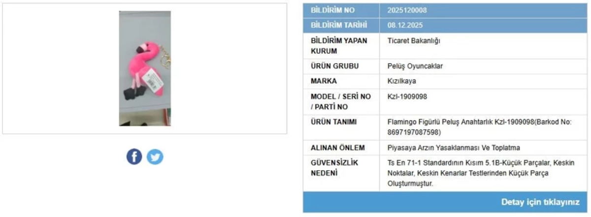 Ticaret Bakanlığı duyurdu: O oyuncak piyasadan toplatılıyor!, G&ouml;rsel 1