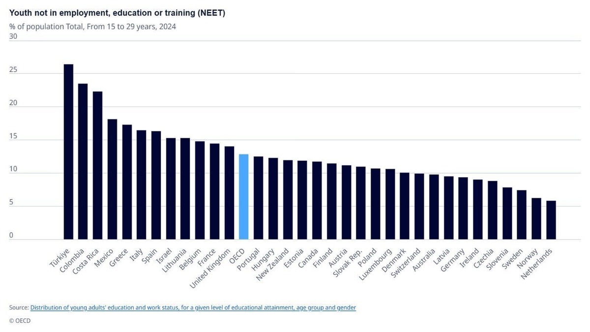 T&uuml;rkiye de  ev genci  sorunu b&uuml;y&uuml;yor: Gen&ccedil;lerin y&uuml;zde 26,5 i ne &ccedil;alışıyor ne okuyor, G&ouml;rsel 1