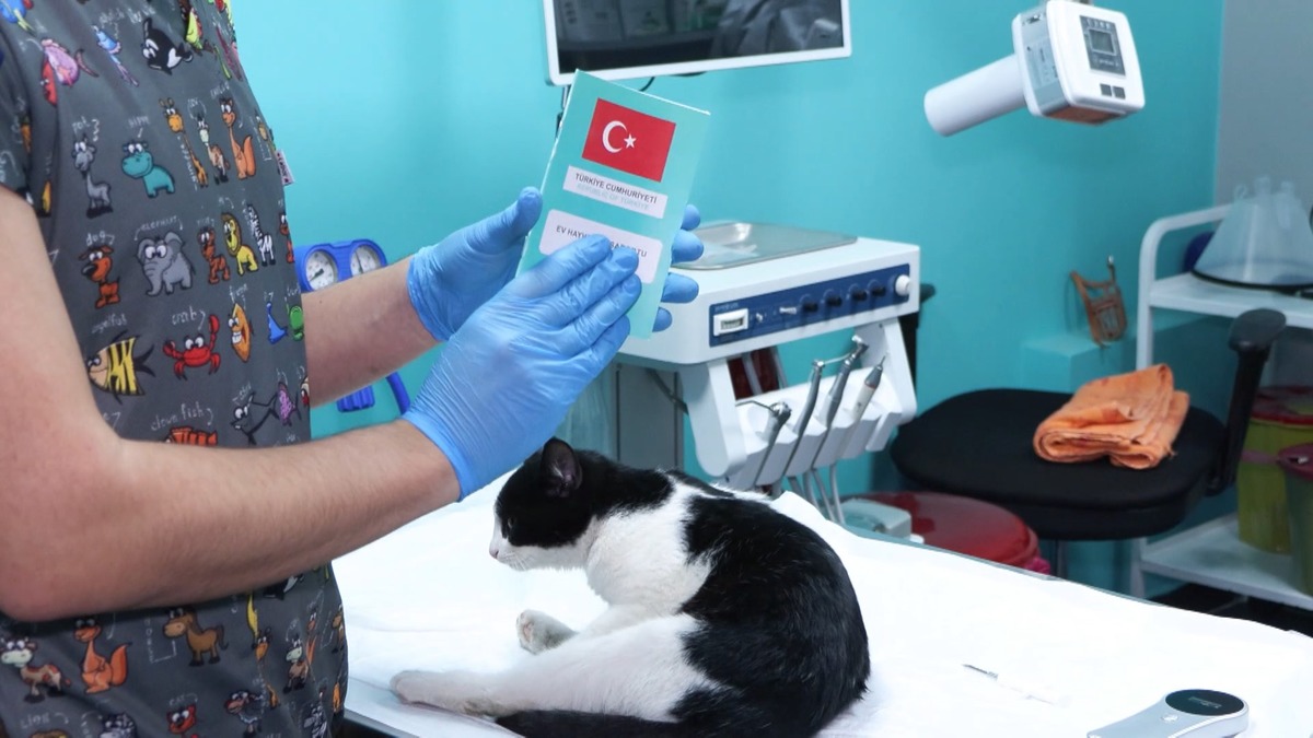 Evcil hayvanlar i&ccedil;in &ccedil;ip uygulamasında son g&uuml;n yaklaştı!, G&ouml;rsel 1
