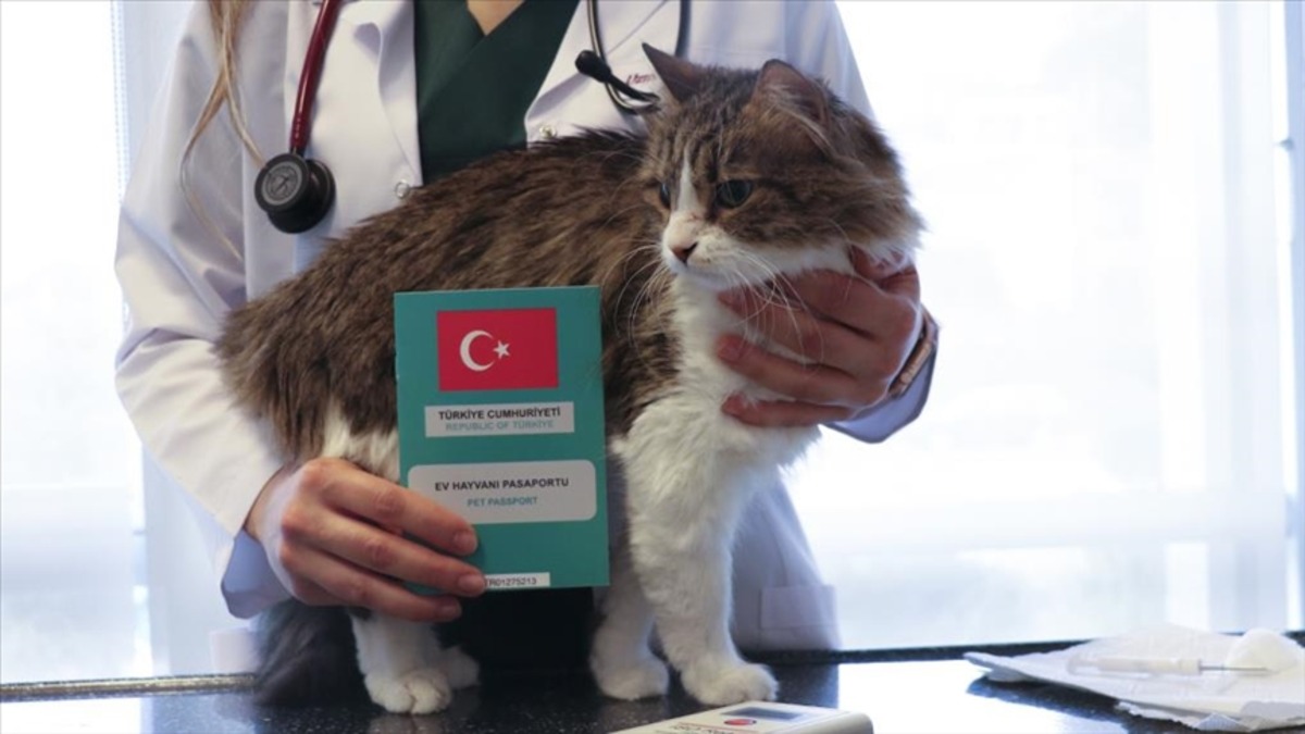 Evcil hayvanlar i&ccedil;in &ccedil;ip uygulamasında son g&uuml;n yaklaştı!, G&ouml;rsel 2