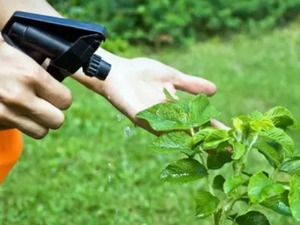 Bitki koruma &uuml;r&uuml;nlerinin satışında takip sistemi zorunlu oldu