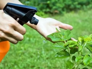 Re&ccedil;etesiz bitki koruma &uuml;r&uuml;n&uuml; satana yaptırım! Ceza kesilecek
