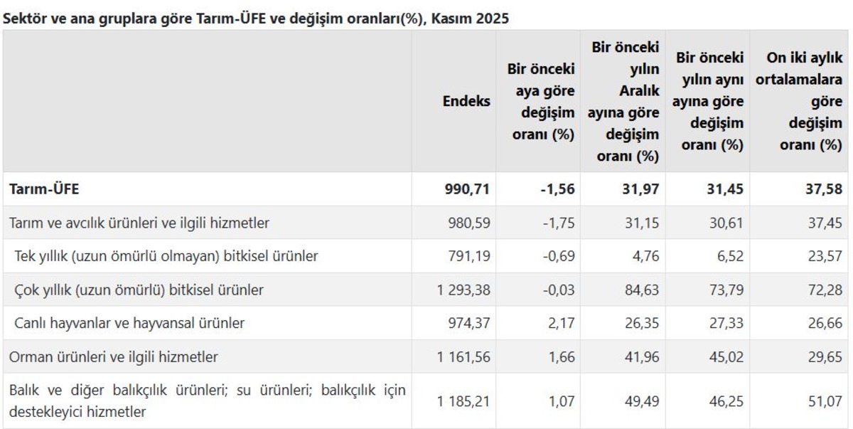 T&Uuml;İK duyurdu! &Ccedil;ift&ccedil;inin kasım ayı enflasyonu belli oldu, G&ouml;rsel 1