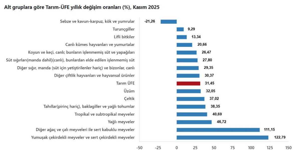 T&Uuml;İK duyurdu! &Ccedil;ift&ccedil;inin kasım ayı enflasyonu belli oldu, G&ouml;rsel 3