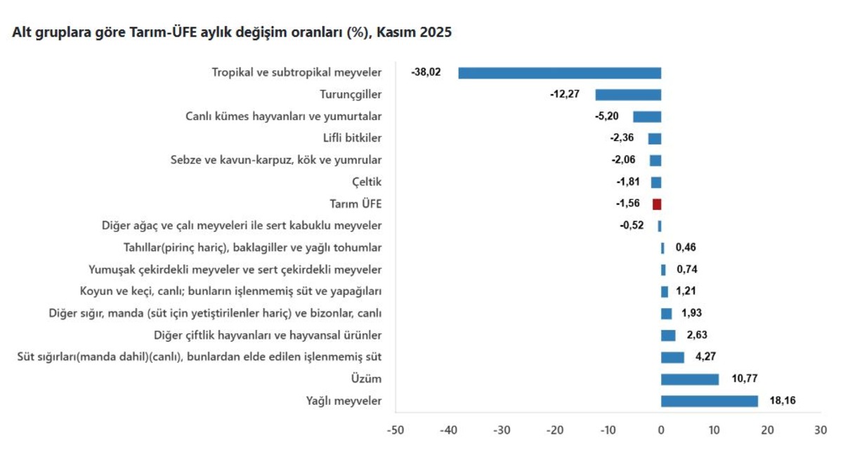 T&Uuml;İK duyurdu! &Ccedil;ift&ccedil;inin kasım ayı enflasyonu belli oldu, G&ouml;rsel 4