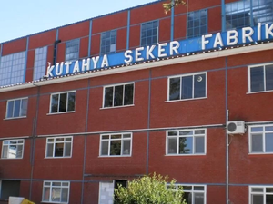 Bu Hisse'nin Sahiplerine Piyango Vurdu! Hisse Başı 5.5 TL Temett&uuml; &Ouml;deyecek..