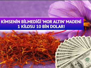 Kimsenin Bilmediği 'Mor Altın' Madeni: 1 Kilosu 10 Bin Dolar!