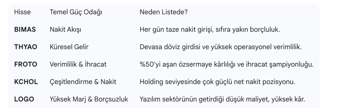 Hisse Radarı Bölüm 1: 2025’te Finansal Gücüyle Öne Çıkan BIST Hisseleri, Görsel 2