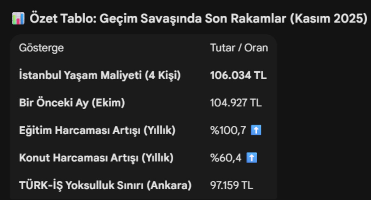 İstanbul da "hayatta kalma" maliyeti 106 bin TL yi aştı, G&ouml;rsel 4