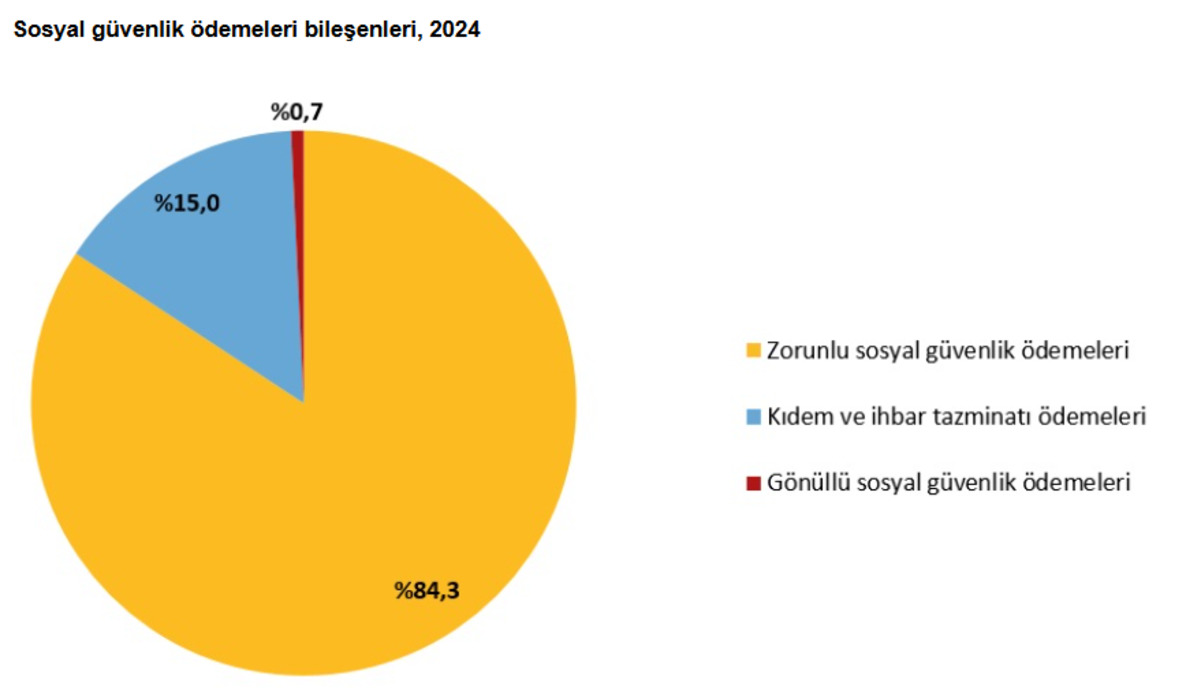 TÜİK açıkladı: Bir çalışanın işverene aylık maliyeti 45 bin TL yi aştı, Görsel 3