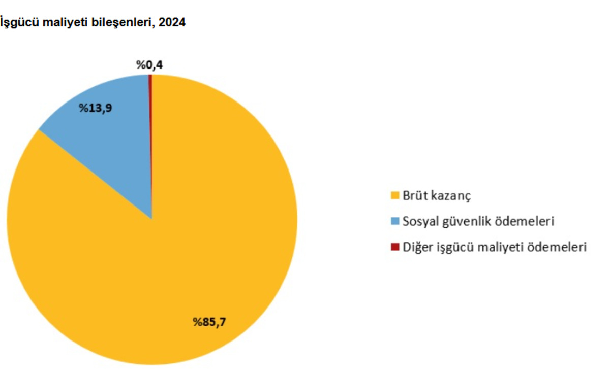 TÜİK açıkladı: Bir çalışanın işverene aylık maliyeti 45 bin TL yi aştı, Görsel 1