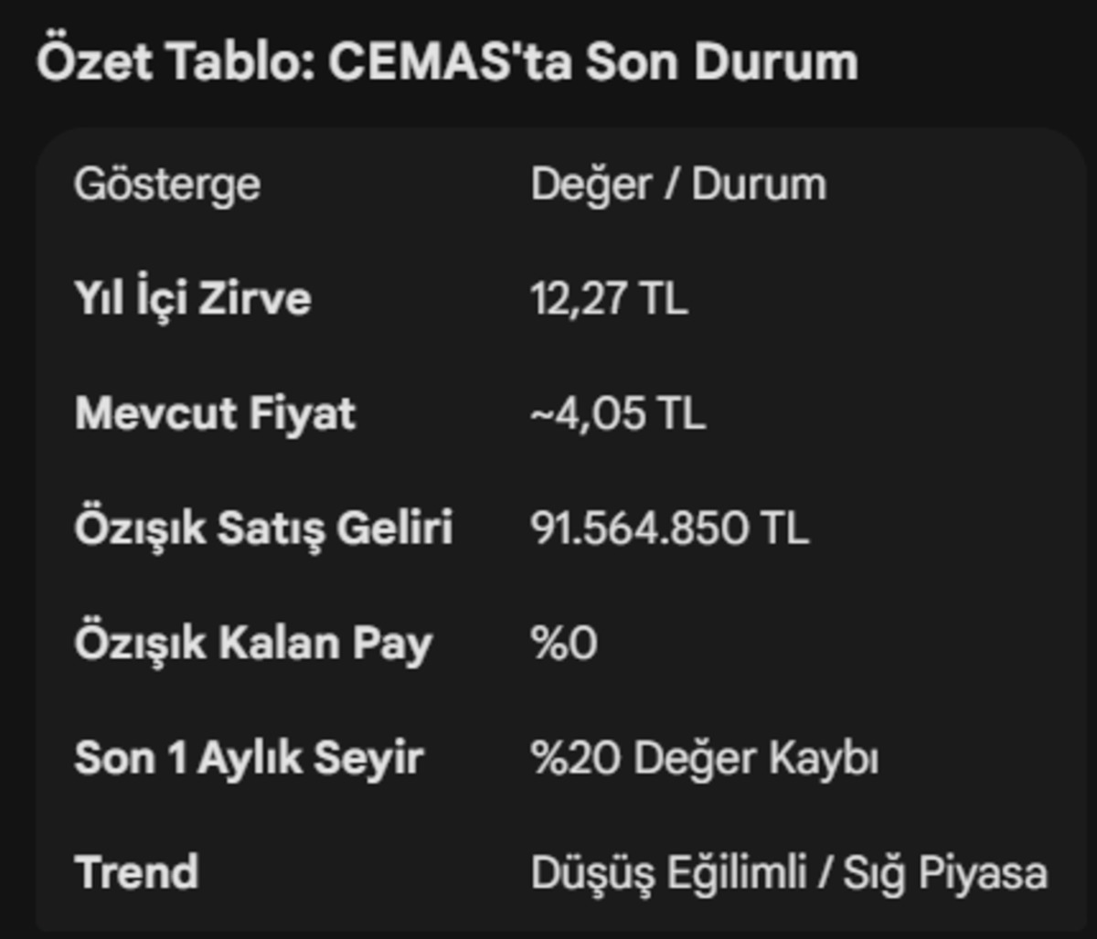 CEMAS’ta neler oluyor? Zirveden yüzde 65’lik kayıp ve "sıfırlanan" ortaklık, Görsel 3