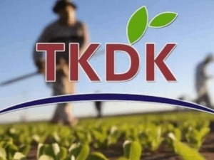 TKDK 42 uzman alacak! Karar Resmi Gazete'de