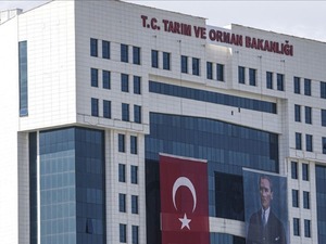 İhracatta kullanılan ahşap ambalaj malzemelerine ilişkin y&ouml;netmelikte d&uuml;zenleme