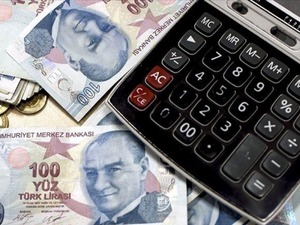 Ocak ayı yaşlı ve engelli aylıkları hesaplara yatırılmaya başlandı