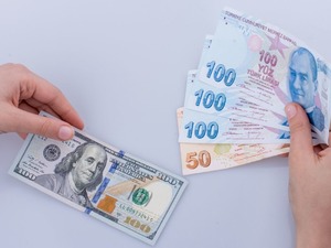 Reel efektif d&ouml;viz kuru endeksi Aralık'ta 71,11 oldu