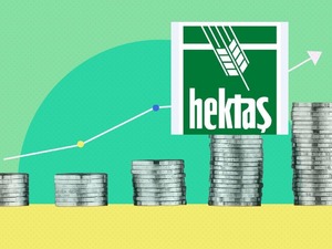 Hektaş'tan sermaye hamlesi: Tavan 25 milyar TL'ye y&uuml;kseliyor, hisseler hareketlendi
