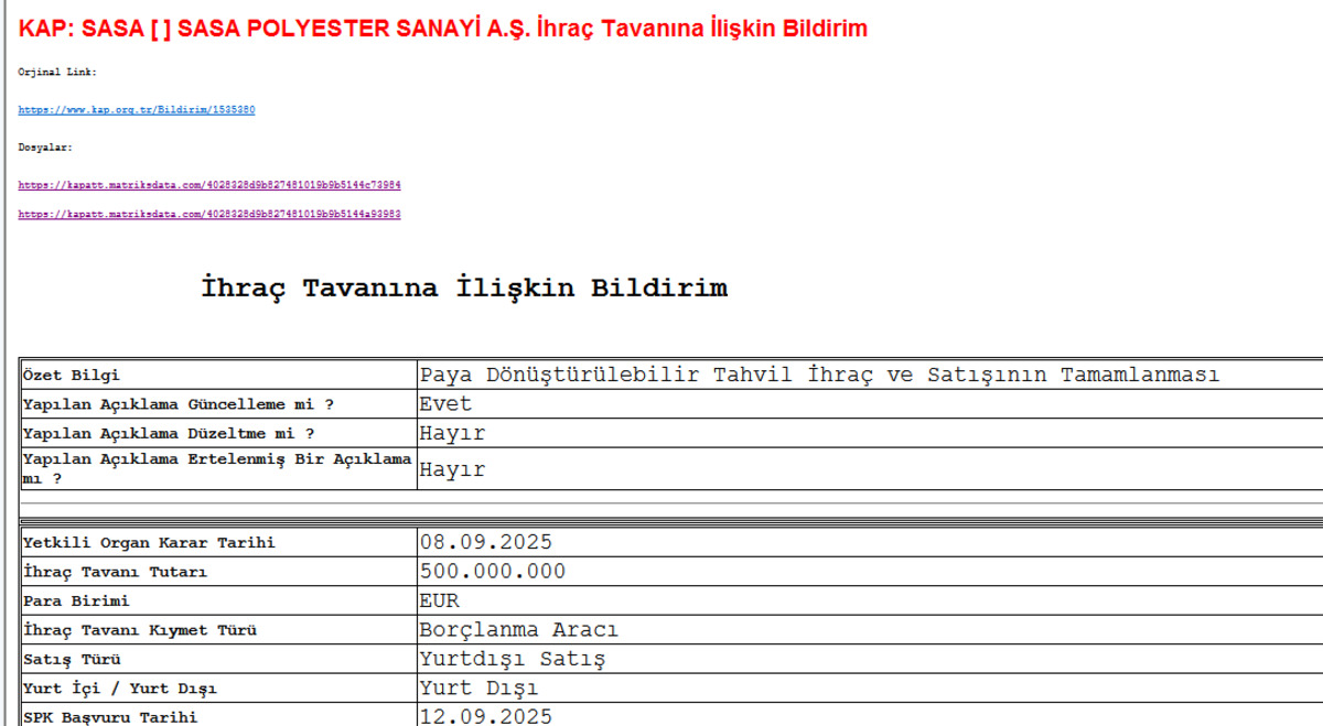 SASA neden d&uuml;ş&uuml;yor?, G&ouml;rsel 1