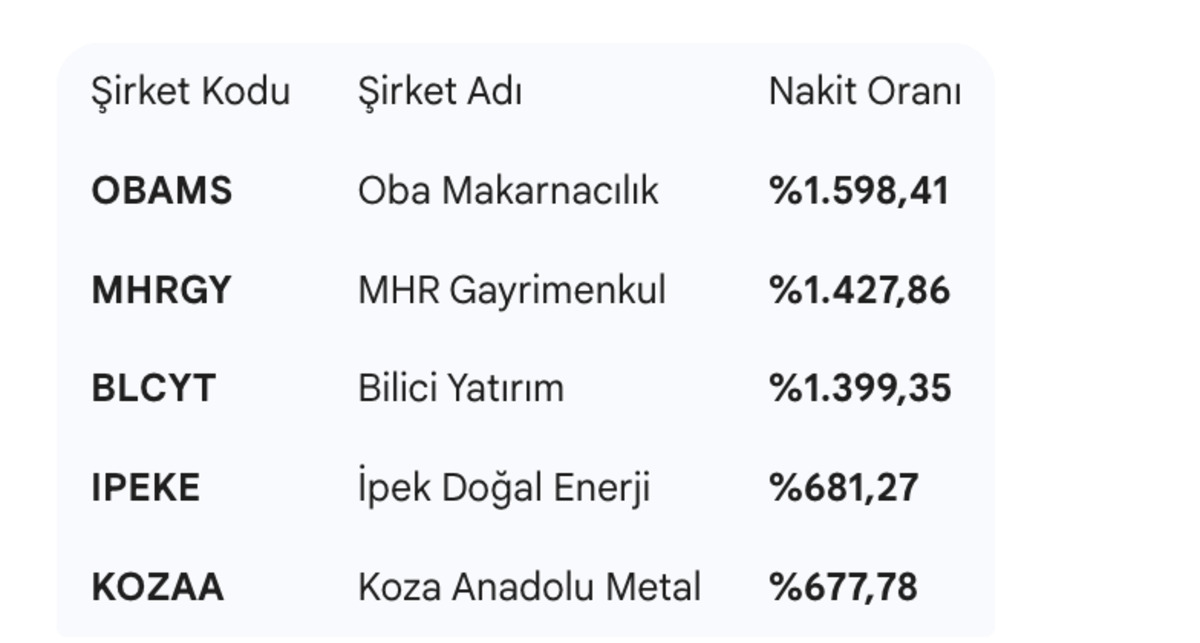 BIST&rsquo;in en zengin 5 şirketi a&ccedil;ıklandı! Listede s&uuml;rpriz isimler var, G&ouml;rsel 3