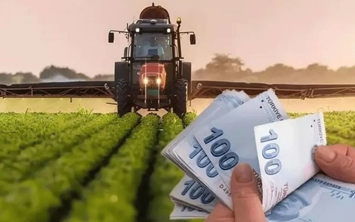 Gübrede gümrük vergileri sıfırlandı, Görsel 1
