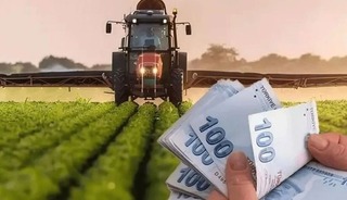 Tarım enflasyonu yeniden yükselişte: Maliyetler ikiye katlandı