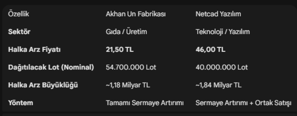 SPK dan iki dev şirkete halka arz onayı: Akhan Un ve Netcad Yazılım borsaya geliyor, G&ouml;rsel 4