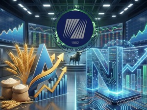 SPK'dan iki dev şirkete halka arz onayı: Akhan Un ve Netcad Yazılım borsaya geliyor