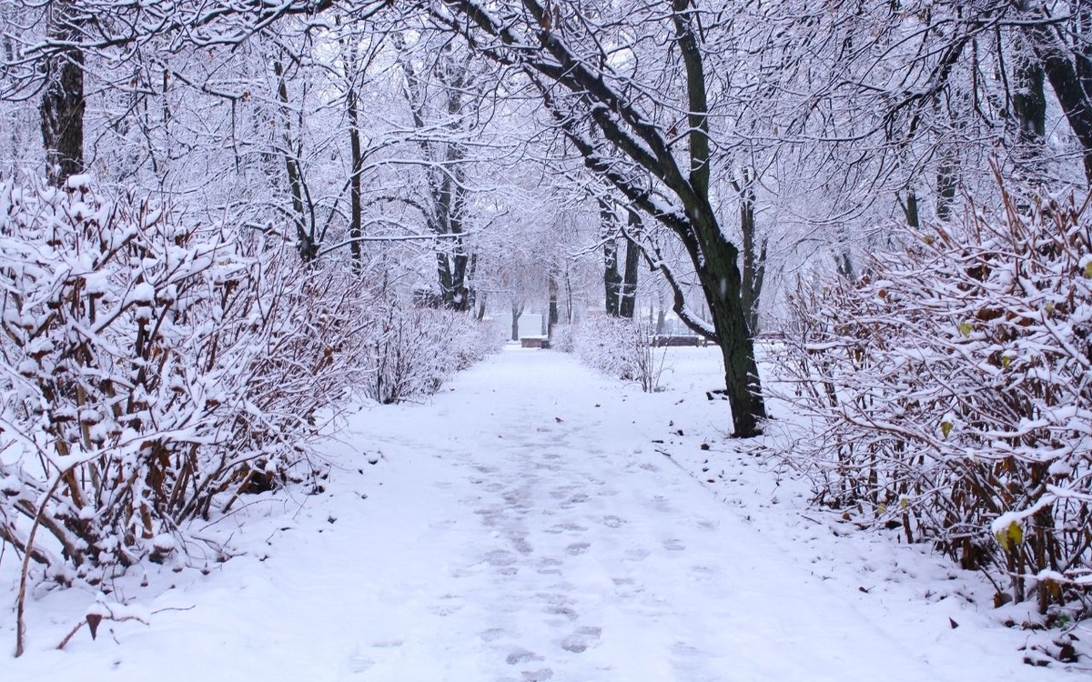 İçişleri Bakanlığı o iller için meteorolojik uyarı paylaştı, Görsel 1