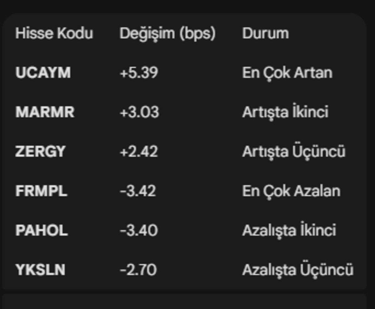 Yabancı yatırımcının halka arz rotası netleşti: İşte payı artan ve azalan hisseler!, G&ouml;rsel 2