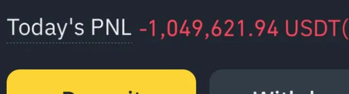 Kripto Paralar Düştü, Bir Yatırımcı Tam Tamına 1 Milyon Dolar Kaybetti! "Analiziniz Batsın, Resmen Soyulduk", Görsel 1
