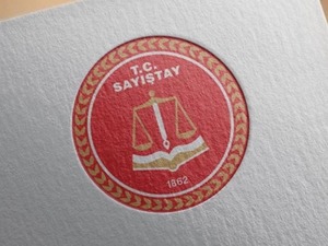 Sayıştay s&ouml;zleşmeli bilişim personeli alacak