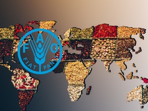 FAO raporuna g&ouml;re k&uuml;resel gıda fiyatları 5 aydır d&uuml;ş&uuml;yor