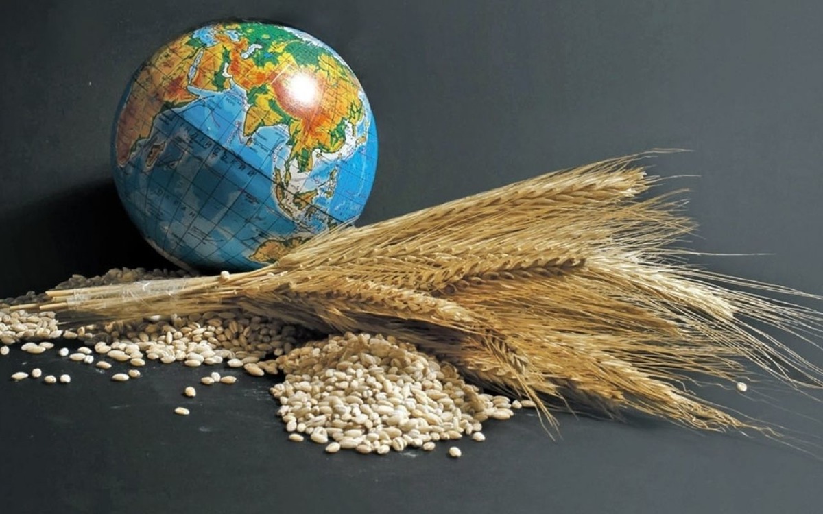 FAO raporuna göre küresel gıda fiyatları 5 aydır düşüyor, Görsel 1