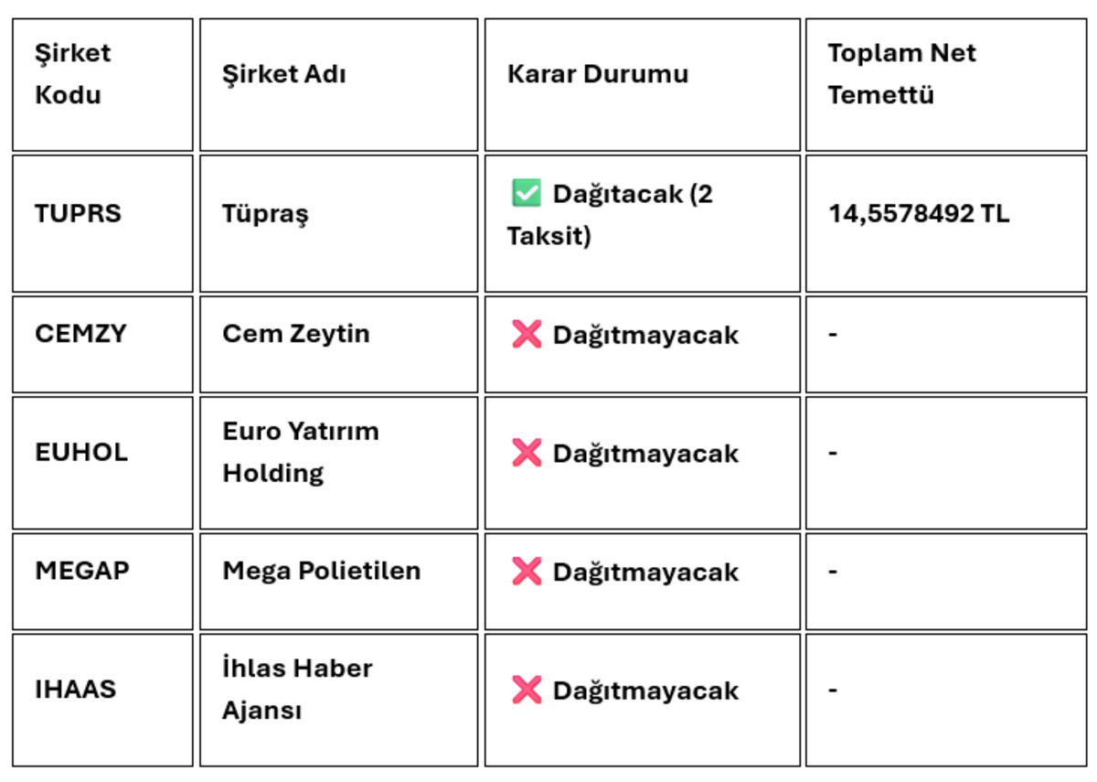 TUPRS, CEMZY, EUHOL… İşte şirketlerden temettü kararları, Görsel 3