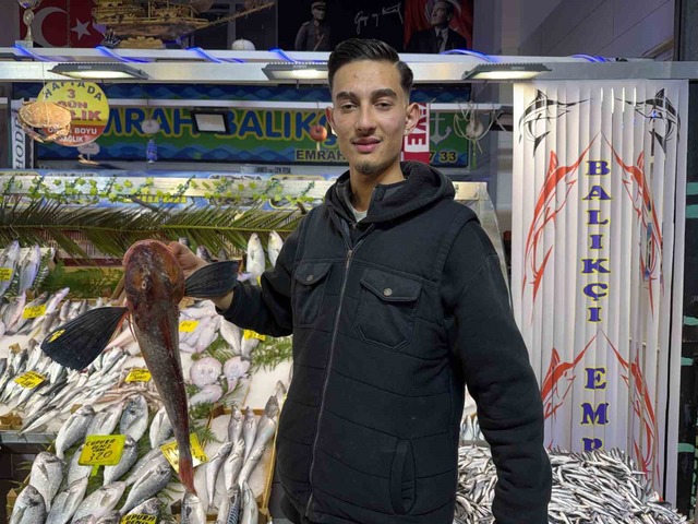 Balık tezgahlarındaki son durum, Görsel 3