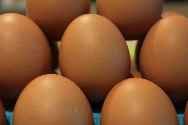 Kişi başına düşen yumurta üretiminde düşüş yaşanıyor, Görsel 2