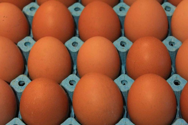 Kişi başına düşen yumurta üretiminde düşüş yaşanıyor, Görsel 1