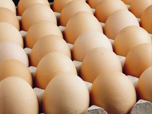Kişi başına d&uuml;şen yumurta &uuml;retiminde d&uuml;ş&uuml;ş yaşanıyor