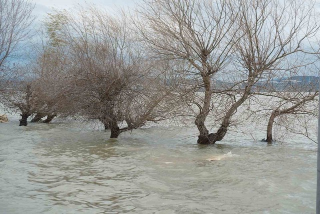Yağışlar arttı, Türkiye nin küçük Venedik i ortaya çıktı, Görsel 1
