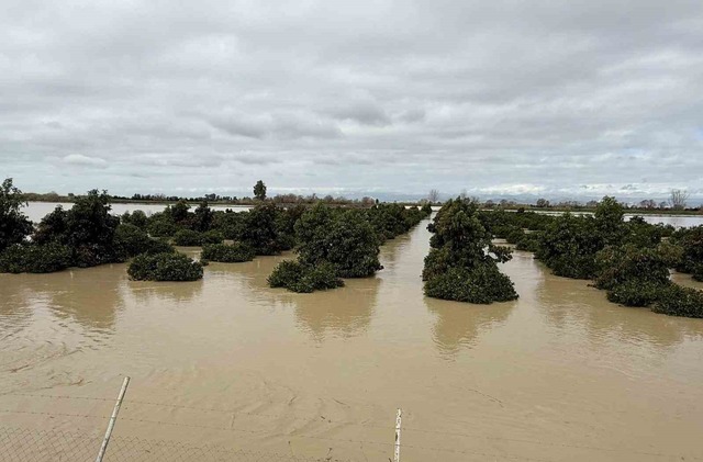 Tarsus’ta 8 bin dönüm tarım arazisi sular altında kaldı, Görsel 3