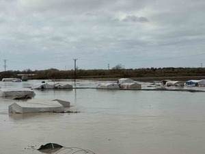 Tarsus&rsquo;ta 8 bin d&ouml;n&uuml;m tarım arazisi sular altında kaldı