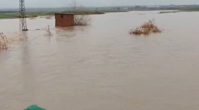 İslahiye’de sağanak sonrası ev ve tarlaları su bastı, Görsel 2